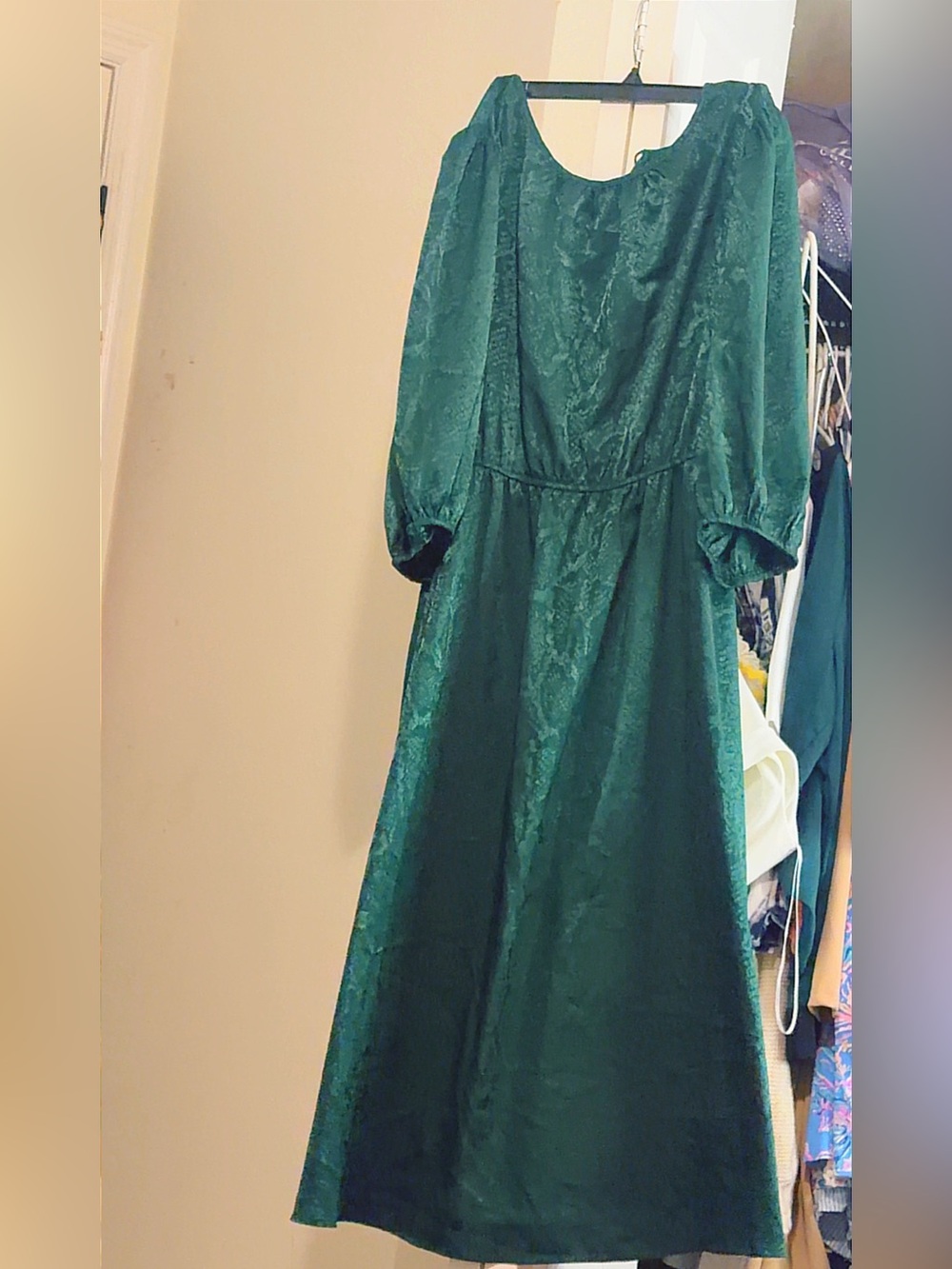 Sandra Darren Emerald Green Maxi Dress with Subtle Jacquard